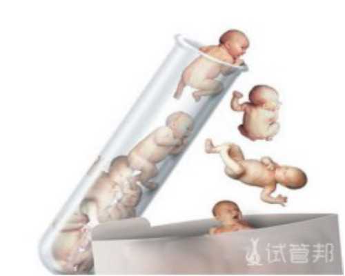 捐卵中介_捐卵试管群|泰国试管婴儿移植后注意事项,注意五大误区
