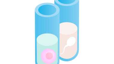  捐卵的价格表_杭州有偿捐卵中心_山东大学齐鲁医院做试管婴儿都需要养囊吗？