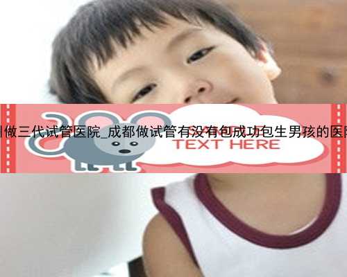 广州做三代试管医院_成都做试管有没有包成功包生男孩的医院？